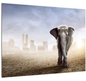 Tablou pe sticlă - Elefanți în oraș (70x50 cm)