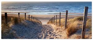 Tablou - Drum spre plaja din Marea Nordului, Țările de Jos (120x50 cm)