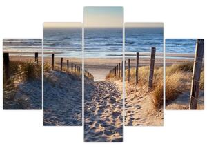 Tablou - Drum spre plaja din Marea Nordului, Țările de Jos (150x105 cm)