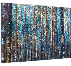 Tablou pe sticlă - Pădurea iarna (70x50 cm)