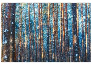 Tablou - Pădurea iarna (90x60 cm)