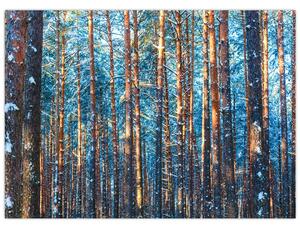 Tablou - Pădurea iarna (70x50 cm)