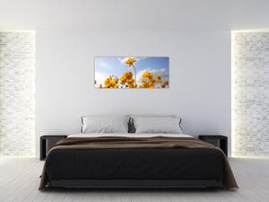 Tablou - Câmp cu flori galben deschis (120x50 cm)