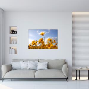 Tablou - Câmp cu flori galben deschis (90x60 cm)