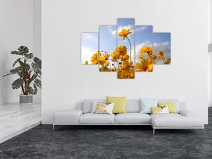 Tablou - Câmp cu flori galben deschis (150x105 cm)