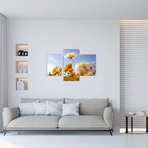 Tablou - Câmp cu flori galben deschis (90x60 cm)