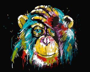 Pictura pe numere cu un cadru "Maimuță colorată" 50x40 cm
