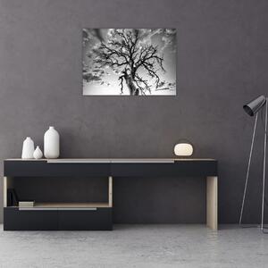 Tablou pe sticlă - Copacul, alb-negru (70x50 cm)