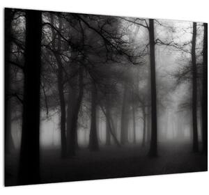 Tablou - Pădure în ceață (70x50 cm)