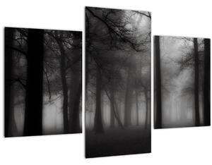Tablou - Pădure în ceață (90x60 cm)