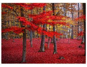 Tablou - Pădurea roșie (70x50 cm)