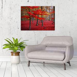 Tablou - Pădurea roșie (70x50 cm)