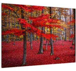 Tablou pe sticlă - Pădurea roșie (70x50 cm)
