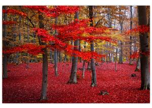 Tablou - Pădurea roșie (90x60 cm)