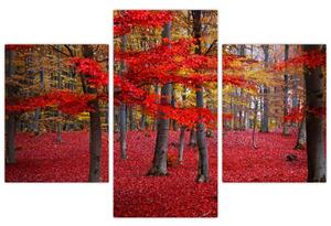 Tablou - Pădurea roșie (90x60 cm)
