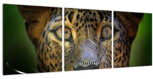 Tablou - Portretul leoparduslui, Sri Lanka (cu ceas) (90x30 cm)