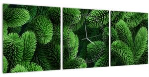 Tablou - Ramuri de conifere (cu ceas) (90x30 cm)