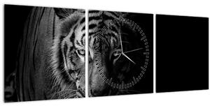 Tablou - Tigru sălbatic (cu ceas) (90x30 cm)