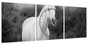 Tablou - Cal alb în poină (cu ceas) (90x30 cm)