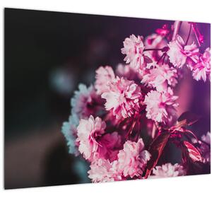 Tablou pe sticlă cu florile copacilor (70x50 cm)