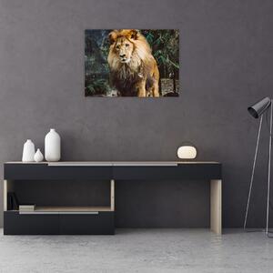 Tablou pe sticlă cu leu în natură (70x50 cm)