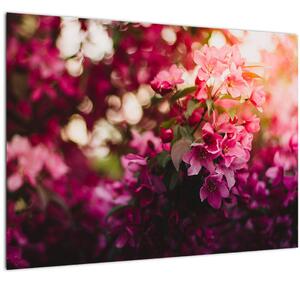 Tablou pe sticlă cu florile tufișului înflorit (70x50 cm)
