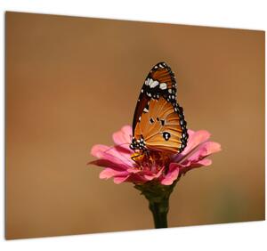 Tablou pe sticlă cu fluture pe floare (70x50 cm)