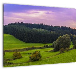 Tablou pe sticlă cu lunca (70x50 cm)