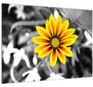Tablou pe sticlă cu floare galbenă (70x50 cm)