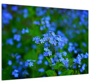 Tablou pe sticlă cu flori albastre (70x50 cm)