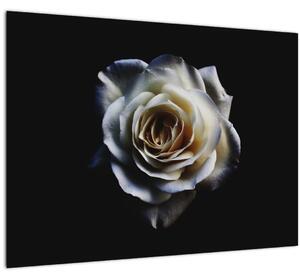 Tablou pe sticlă cu trandafir alb (70x50 cm)