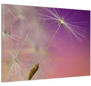 Tablou pe sticlă cu floarea norocul (70x50 cm)