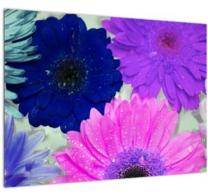 Tablou pe sticlă cu flori colorate (70x50 cm)