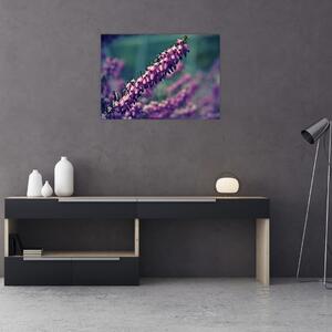 Tablou pe sticlă cu floare violetă (70x50 cm)