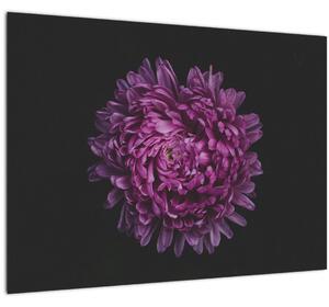 Tablou pe sticlă cu floare violetă (70x50 cm)