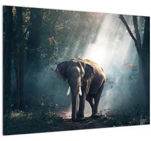 Tablou pe sticlă cu elefant în djunglă (70x50 cm)