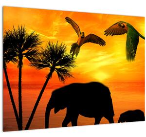 Tablou pe sticlă - papagaii cu elefanți (70x50 cm)
