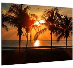 Tablou pe sticlă cu palmier în apus de soare (70x50 cm)