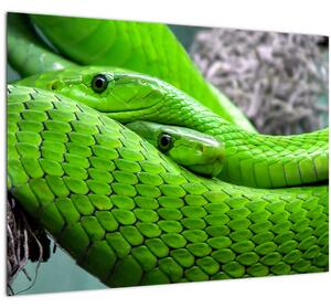 Tablou pe sticlă cu șerpi verzi (70x50 cm)