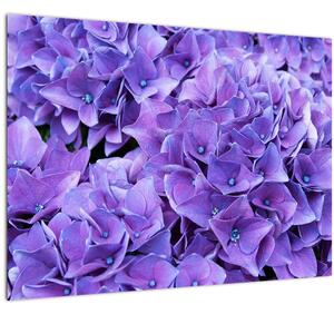 Tablou pe sticlă cu flori violete (70x50 cm)