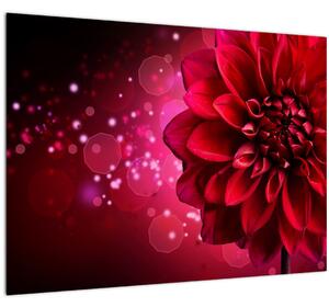 Tablou pe sticlă cu floare roșie (70x50 cm)
