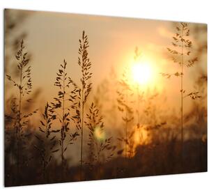 Tablou pe sticlă cu răsărit de soare (70x50 cm)