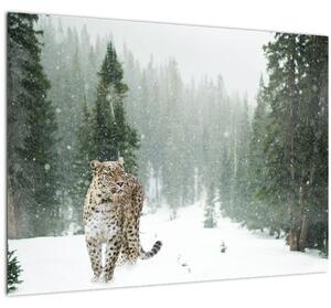 Tablou pe sticlă cu leopard în zăpadă (70x50 cm)