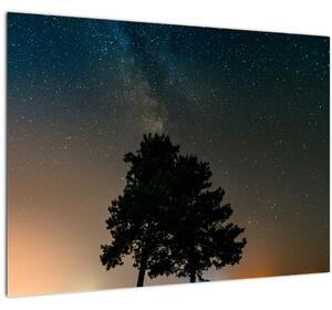 Tablou pe sticlă cu cerul nocturn și copaci (70x50 cm)