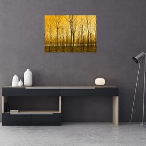 Tablou - Palntație cu pomi (70x50 cm)