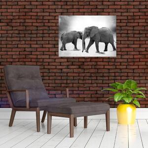 Tablou pe sticlă cu elefanți (70x50 cm)