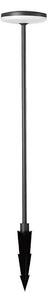 Lampă LED de exterior LED/12W/230V 4000K IP65 antracit