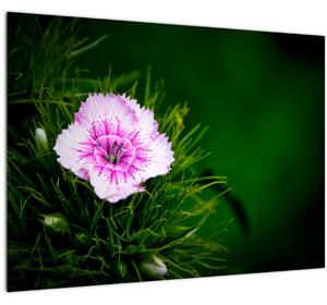 Tablou pe sticlă cu floare roz (70x50 cm)