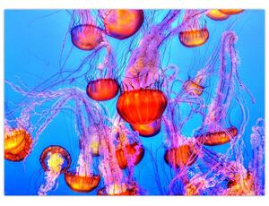 Tablou pe sticlă cu meduse în mare (70x50 cm)