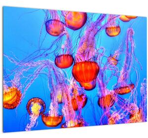 Tablou pe sticlă cu meduse în mare (70x50 cm)